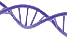 dna connect